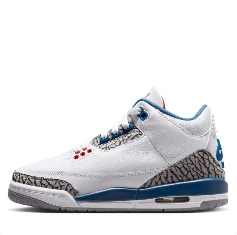 Air Jordan 3 Sneakers in White and Blue with Elephant Print