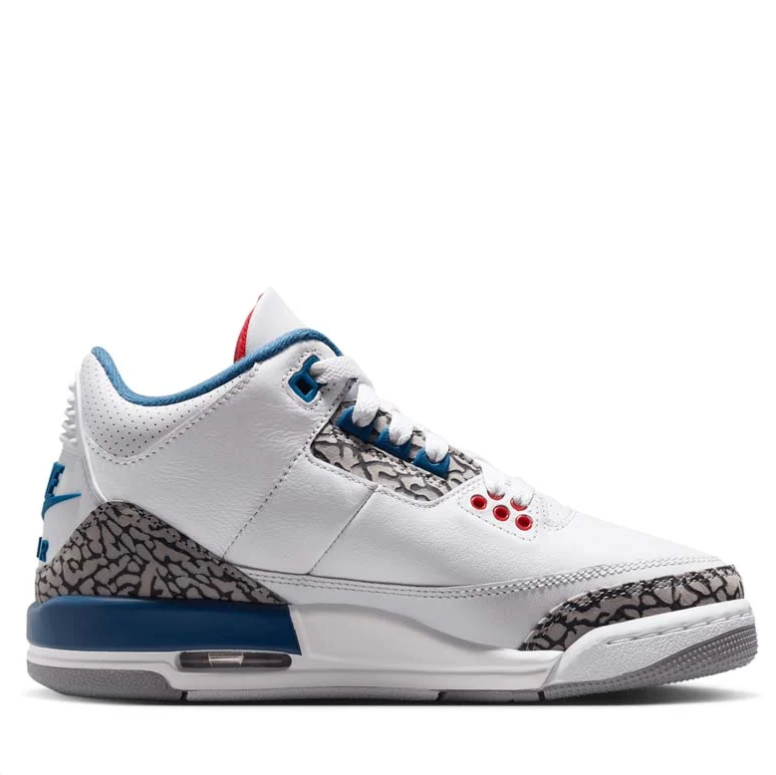 Air Jordan 3 Sneakers in White and Blue with Elephant Print