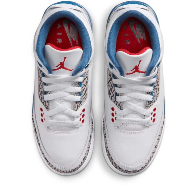Air Jordan 3 Sneakers in White and Blue with Elephant Print