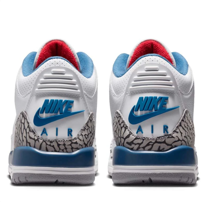 Air Jordan 3 Sneakers in White and Blue with Elephant Print